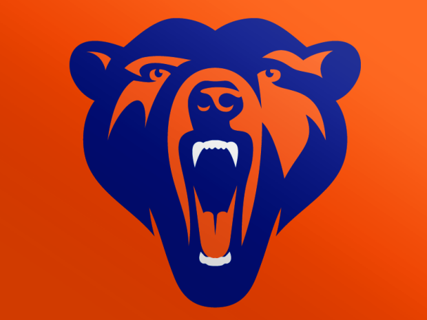 Tổng hợp những thiết kế logo con gấu sáng tạo