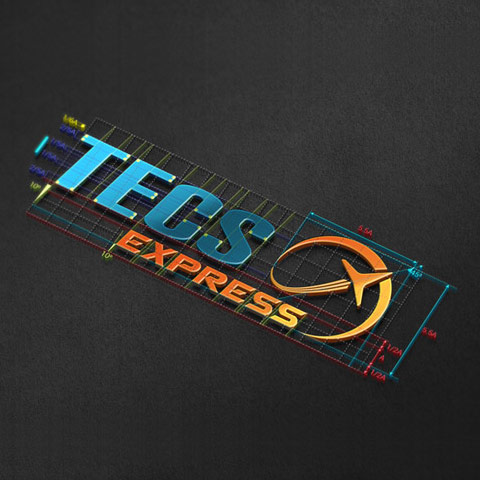 TECS Express