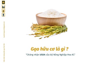 Hình ảnh nhận diện độc đáo của Gạo Tâm Việt