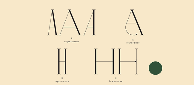 Typeface Love - Bộ font dành cho những thiết kế thương hiệu quyến rũ