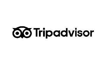 Thiết kế logo mới của Tripadvisor có gì đặc biệt?