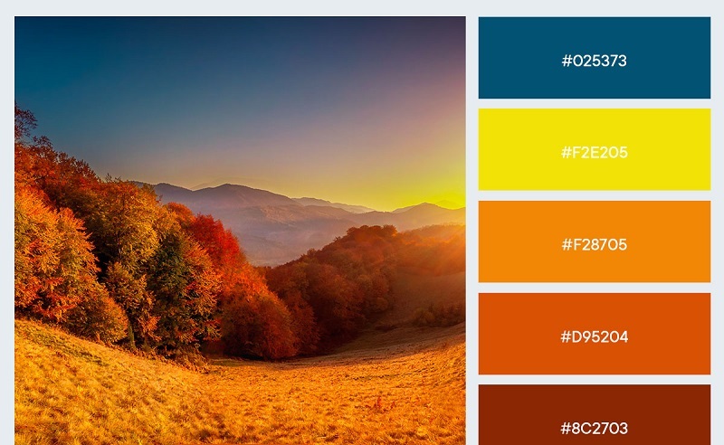 Gợi ý bảng màu phối thiết kế quảng cáo mùa thu