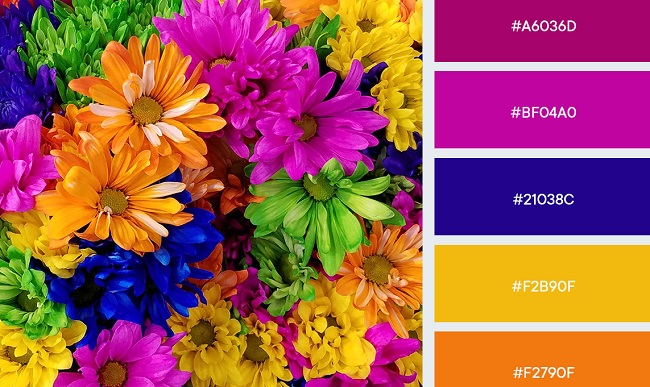 Gợi ý bảng màu đẹp mắt từ cảm hứng hoa